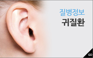 질병정보 귀질환